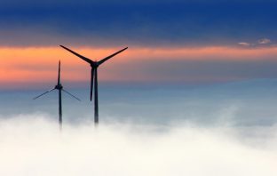 Federalna vlada dala suglasnost za izgradnju 4 vjetroelektrane – evo tko ih gradi