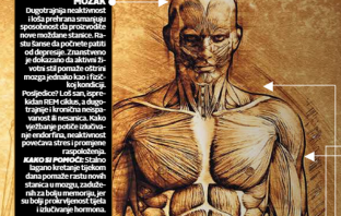 ŽIVOT U IZOLACIJI Nakon 7 dana nekretanja mišići gube masu i oblik, za dva tjedna kralježnica više nije gipka, zglobovi otiču, a spavamo lošije i živčani smo
