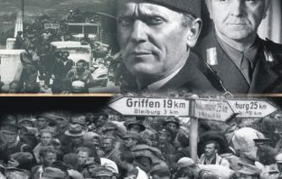 Činjenice o Bleiburgu – sviđalo se to nekome ili ne