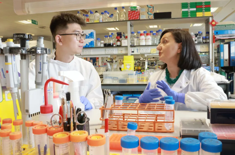 Xuechen Zhang i Ana Angelova Volponi u laboratoriju na King’s Collegeu u Londonu. Liqun Xu