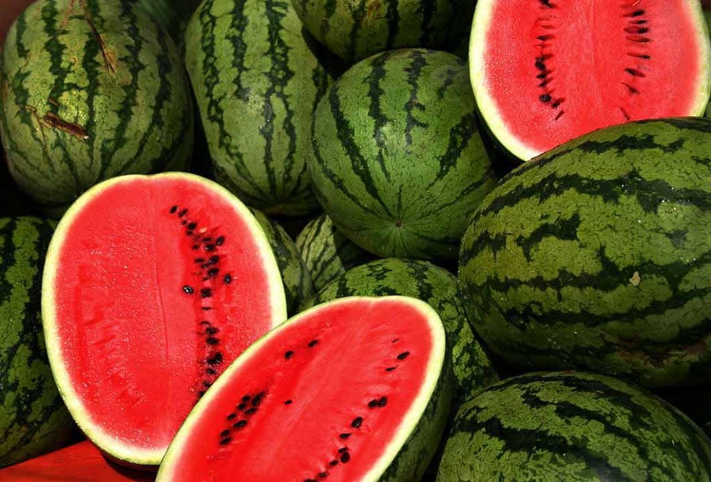 Kako izabrati slatku lubenicu u nekoliko sekundi: Isprobajte pravilo dva prsta, ali obratite pažnju i na ove detalje